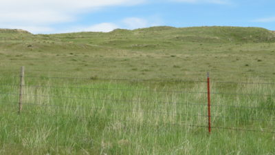Pine Ridge Ranch parcel #137