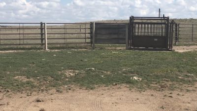 197 S County Road 161 Pine Bluffs, Ne