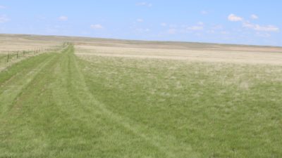 330 Acres of Pasture/Dryland