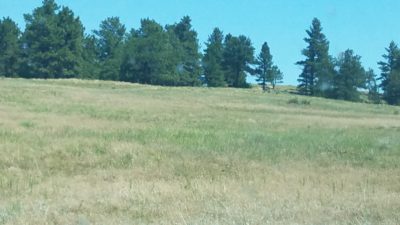 Lot 180 Pine Ridge Ranch Fort Laramie WY