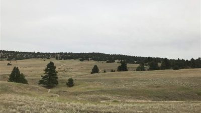 000 Coyote Trail Lot #147