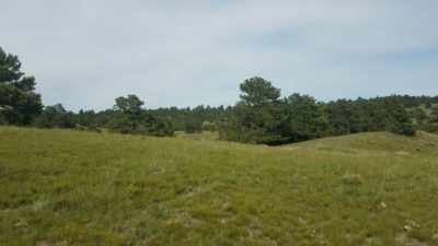 Lot #177 Pine Ridge Ranch