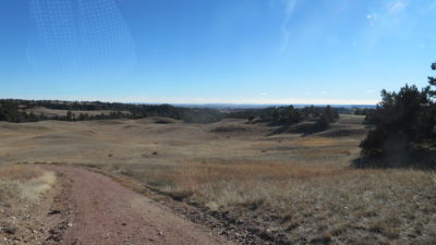 Pine Ridge Ranch Lot #177