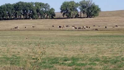 5701 Road 58