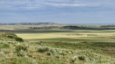 #113 Pine Ridge Ranch