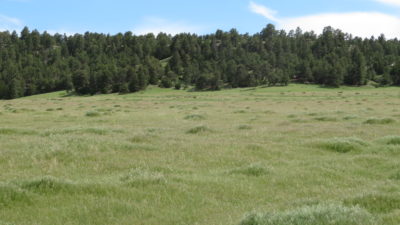 #97 Pine Ridge Ranch Fort Laramie WY