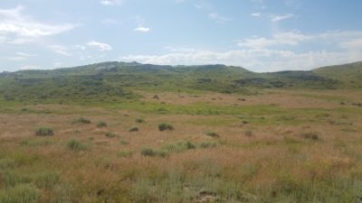 #20 Pine Ridge Ranch