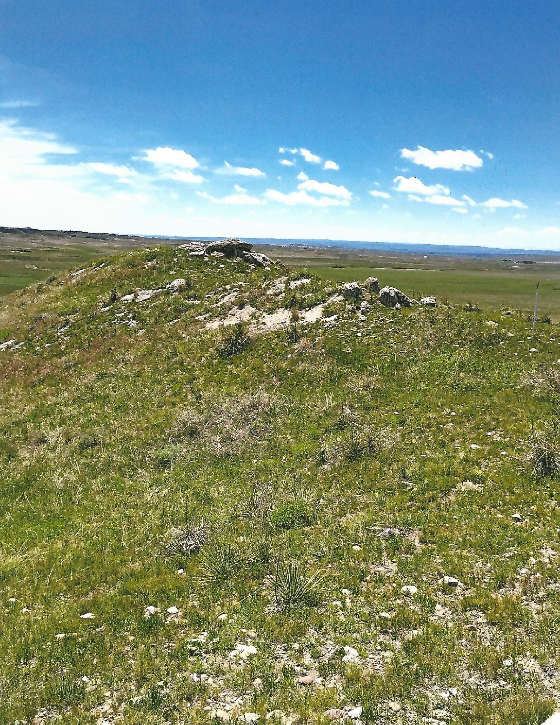 #48 Pine Ridge Ranch
