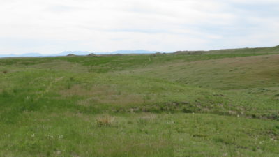 #65 Pine Ridge Ranch