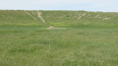 #67 Pine Ridge Ranch