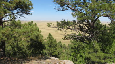 #121 Pine Ridge Ranch Fort Laramie WY