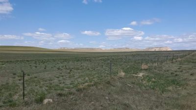 Road 66, Lingle