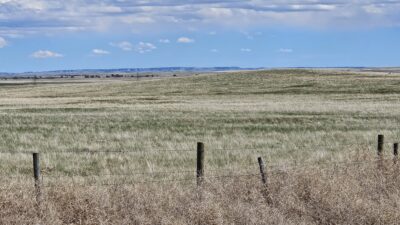 Grassland pasture Yoder WY