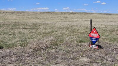 Grassland pasture