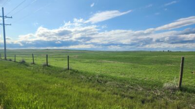 Grassland pasture Yoder WY