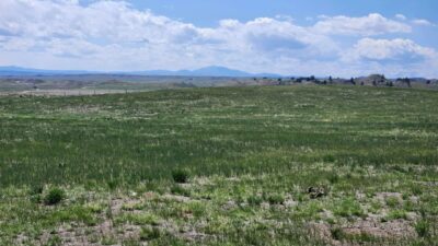Pine Ridge Ranch Lot #147